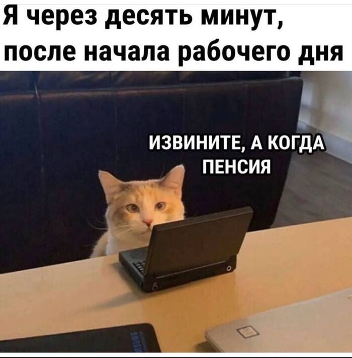 Тем более в понедельник