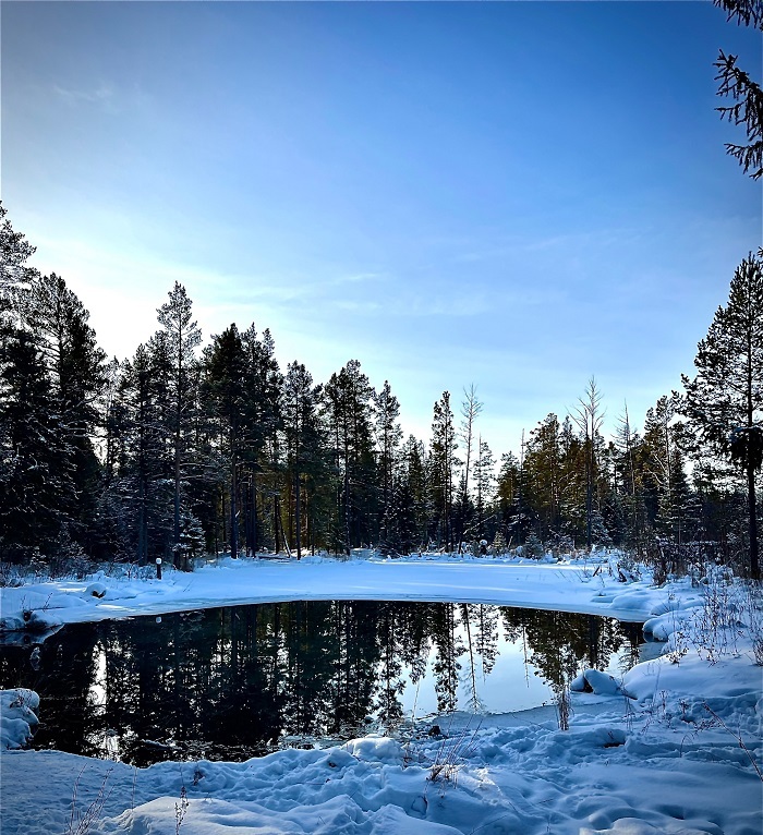 ��������������������� ������������ �������: ����� ������ (���������). ����: ����� ���������