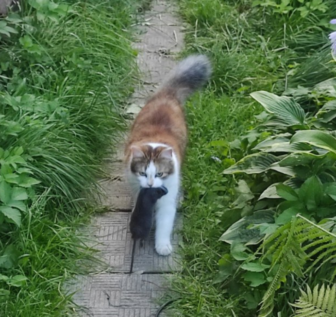 ����� ������� � � ������. ������, � ���� �������� ����