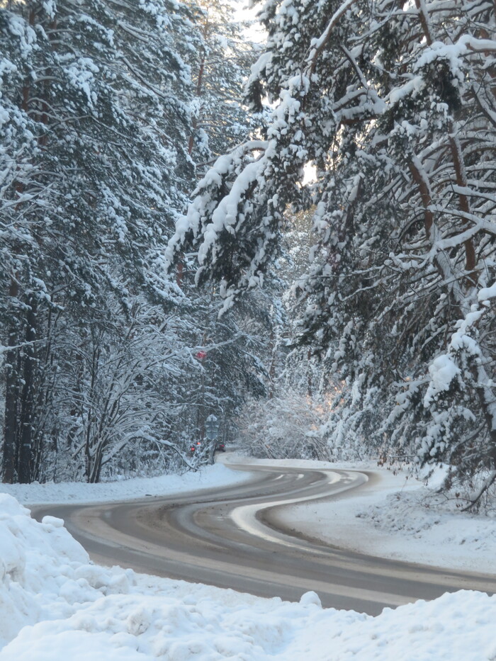 ������ ������ � �������� ����