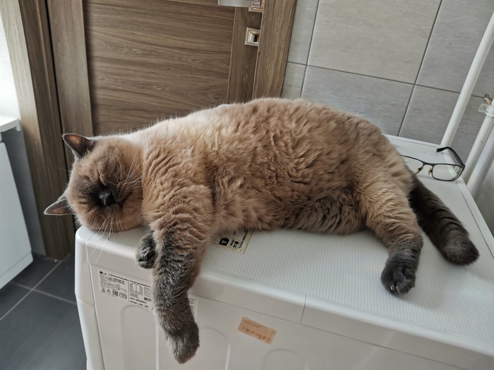 ����� �����������, ����� �� �����������.