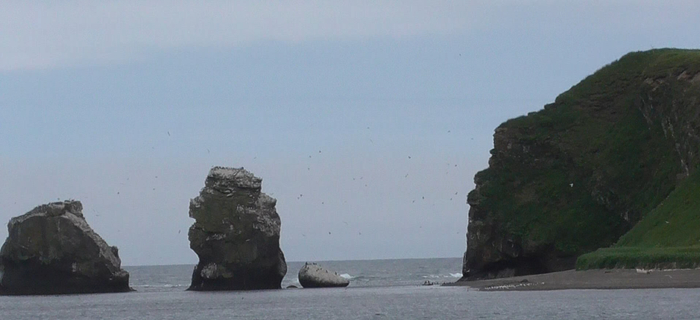 ��� ��������, ���� ��� ���