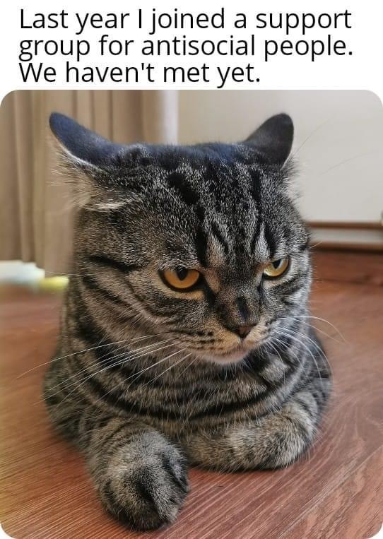 � ������� ���� � ������� � ������ ��� ����������� �����. �� ��� �� �����������