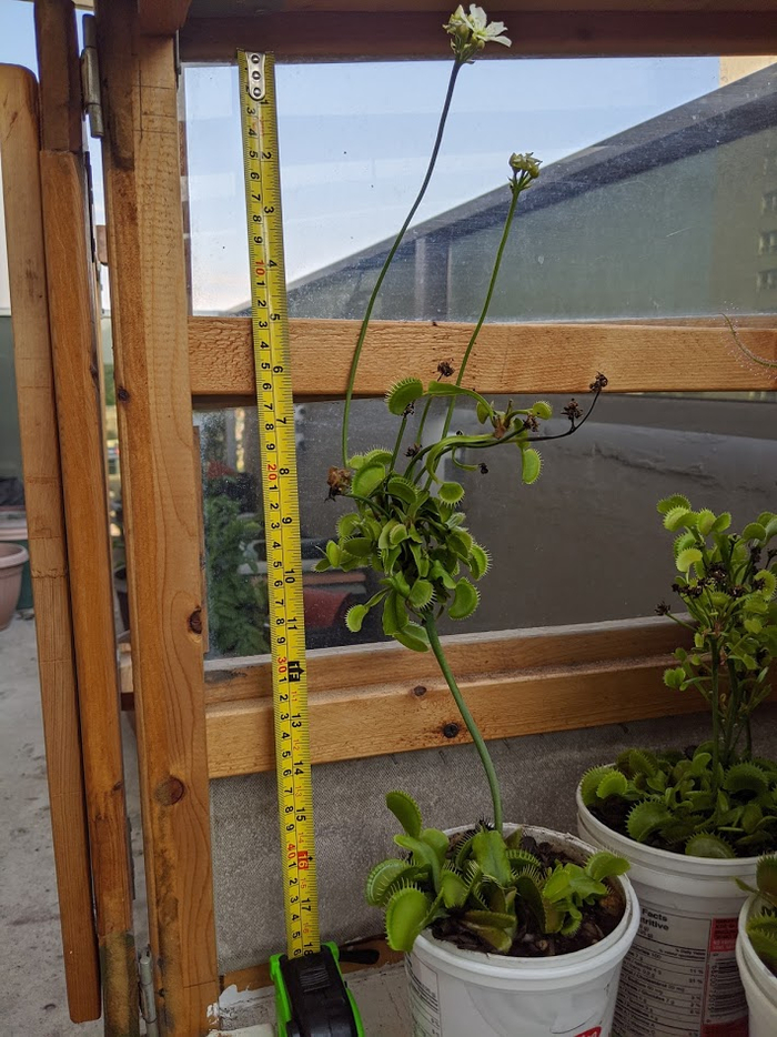 ������ ���������