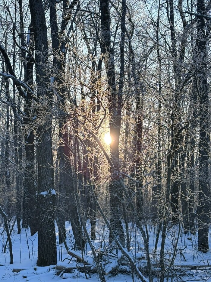 ������ ���: ������ ������ ��� ��������