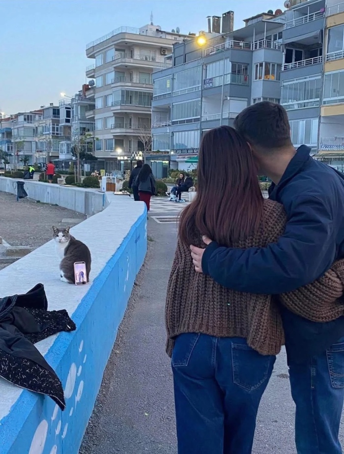 ���� � ������ ���������� ���� � �������� �������