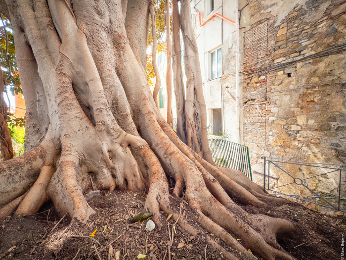 ����������� ������� �� ������ ������� ������ ��� �������� ������, ������������� ������ � ������ �������� ��������� ������������ ����������.