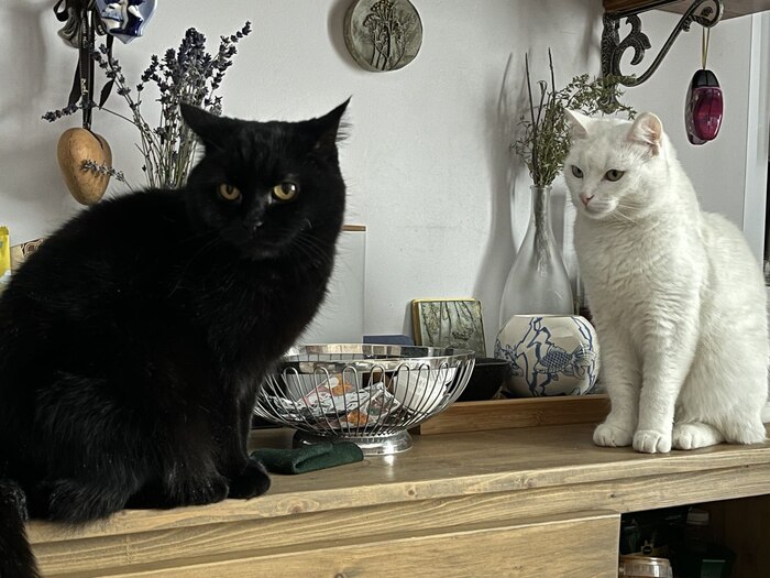 ���� �� �������� � ������ ������