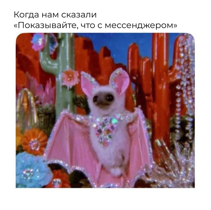 �� � ���� ������