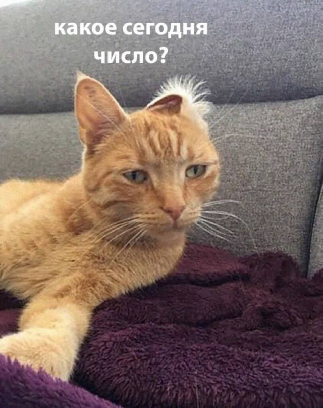 � ������ �����!