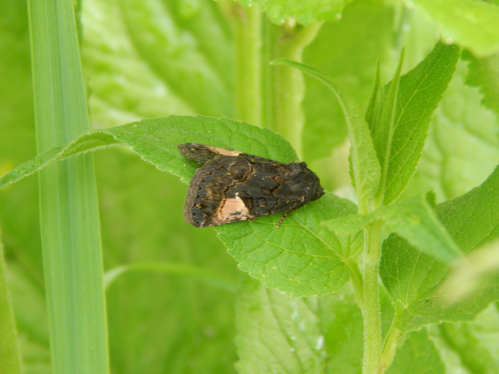 ����� �������������