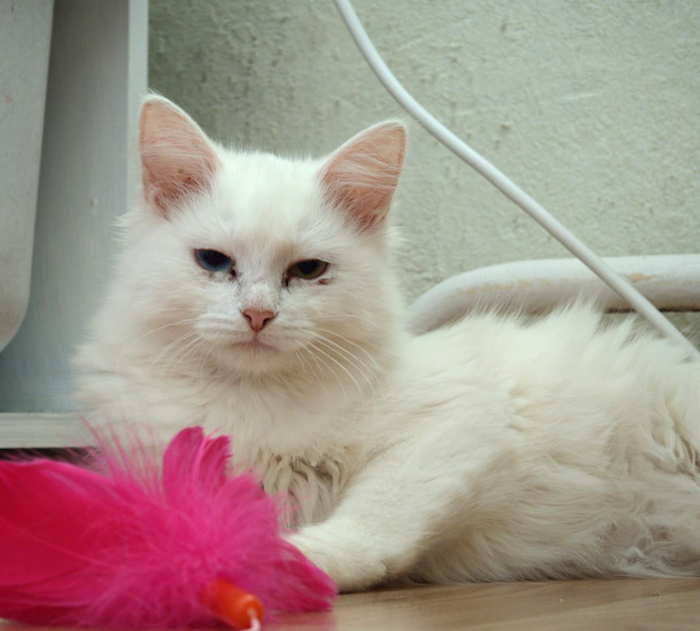 �� ������� ����, �� �� �� ������� ���� ��� ��������