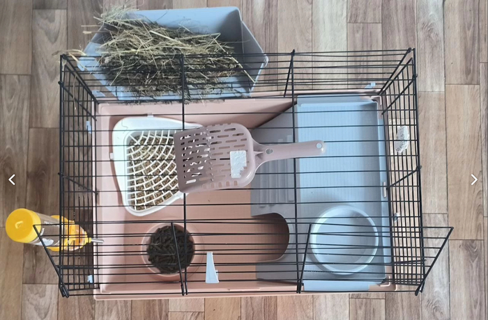 ��� ��� ��� ������ � ����� ������ �������, ���� �� ������ ������? ��� ��������� ������ ����� ��������. ���� ����� �� ���������� �� �����