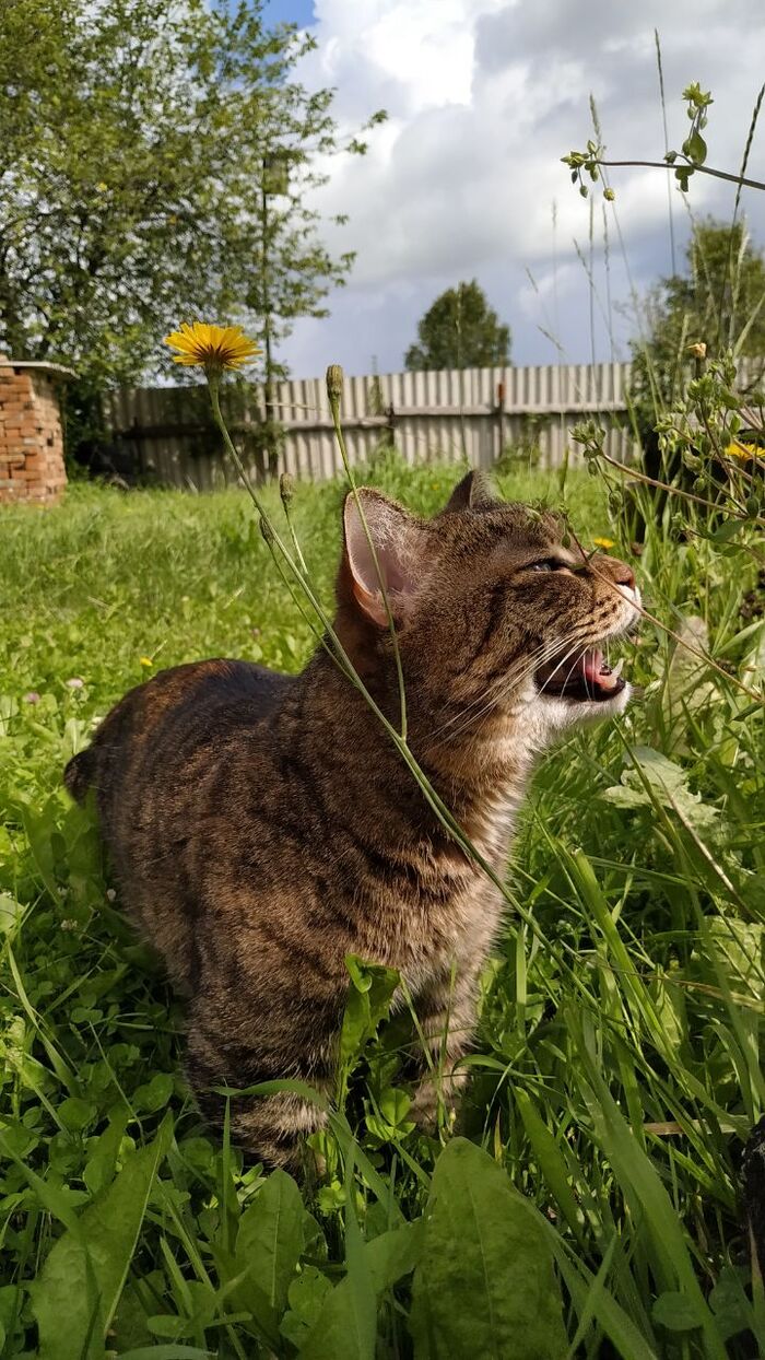 ������ ����������