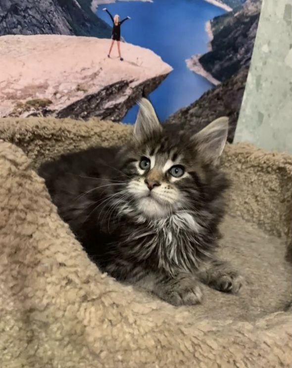 ���� � ���������