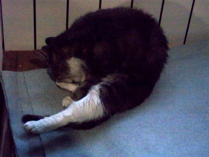 � ����� � ���������� ��� ����������� ���� � ������ ��������� ��������