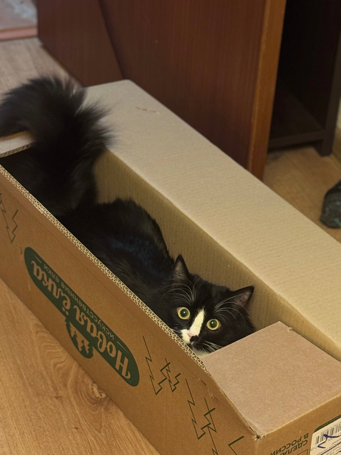 ������� �� ���� ��� ����� ������. ��� ������� �����. 