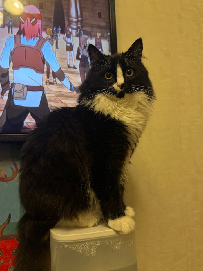 ��, ����������� � ���� ������ �������. �� ����� ����� ���� �� ����� ����. ������ ��������������. 