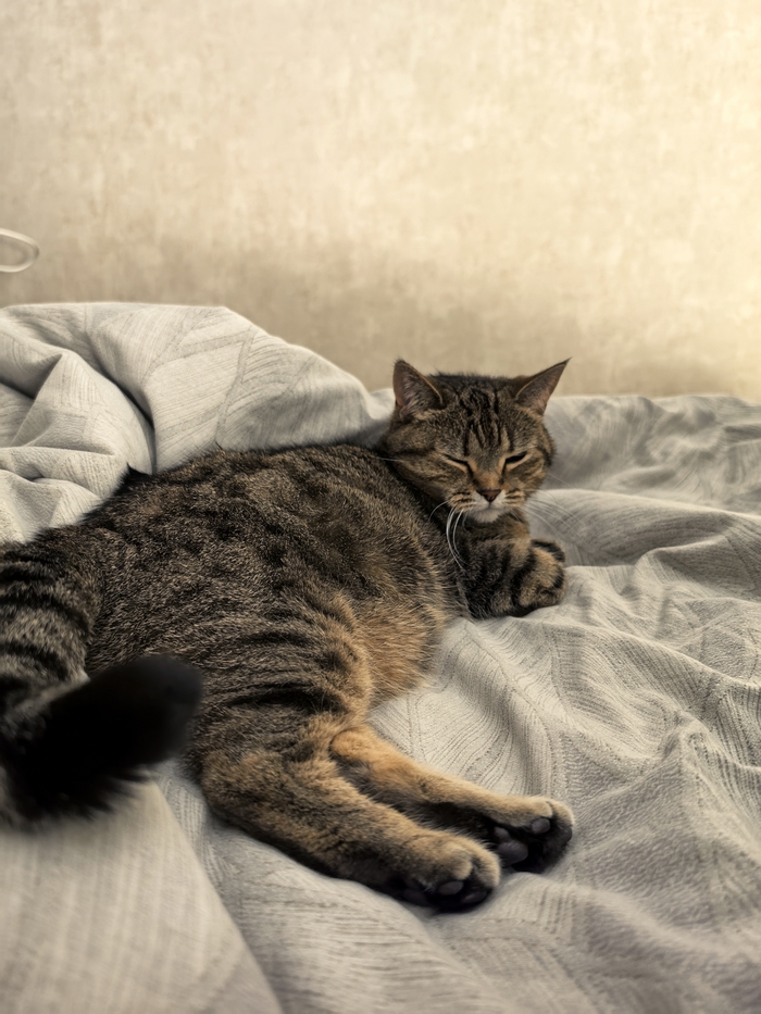 ����� �������