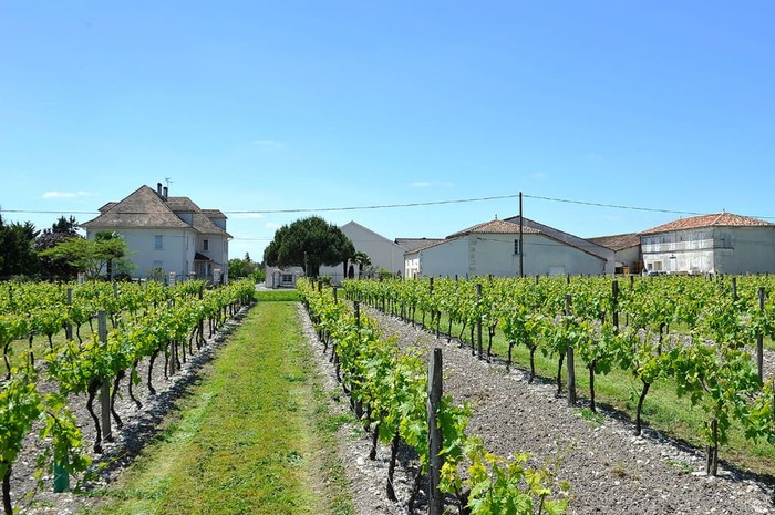 ������������ ��������� ����� �� ������� (�hateau de Montifaud)