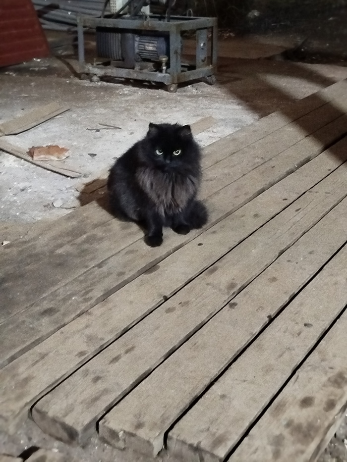 �������� ����������:3