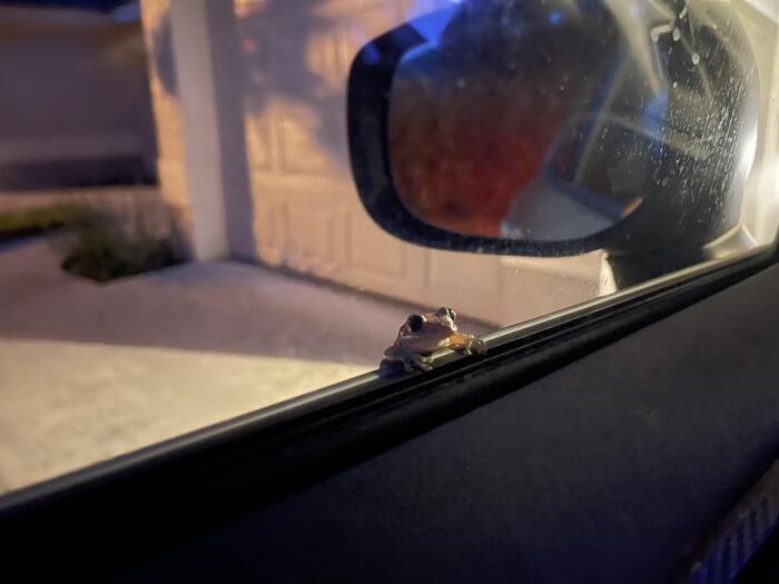 ��� �����, ��� �����. ����������?