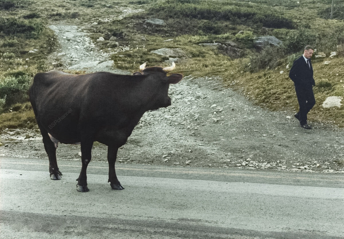 ��������: ���� ���������