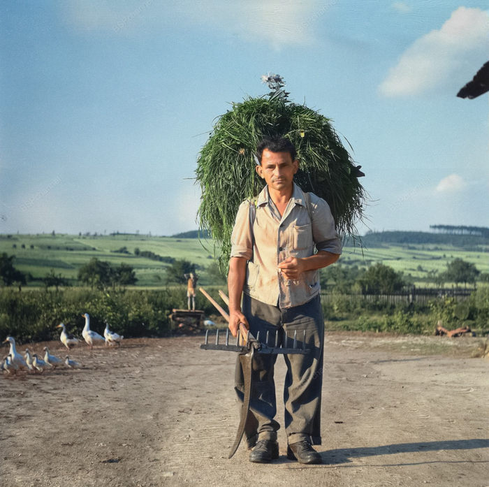 ��������: ������ ������