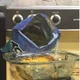 ����� ����� ������ ���� �����������