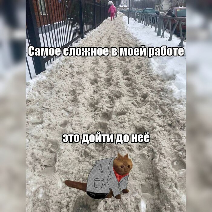 ���� ������� ������