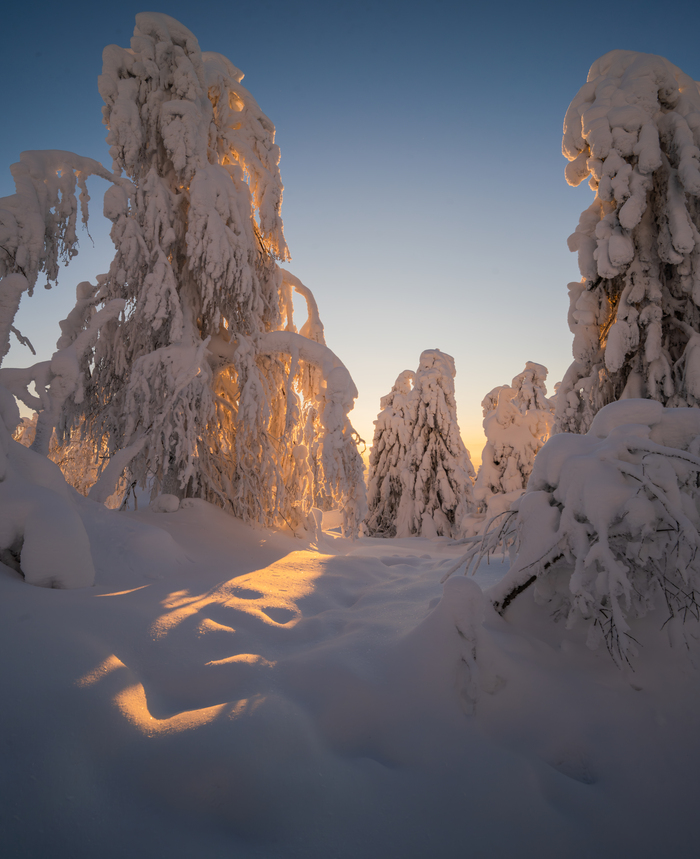 ������� �������� ��������� ����