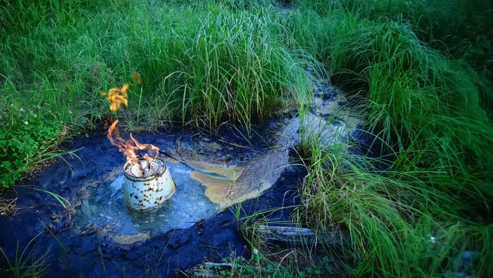 ���� ������� ����� 