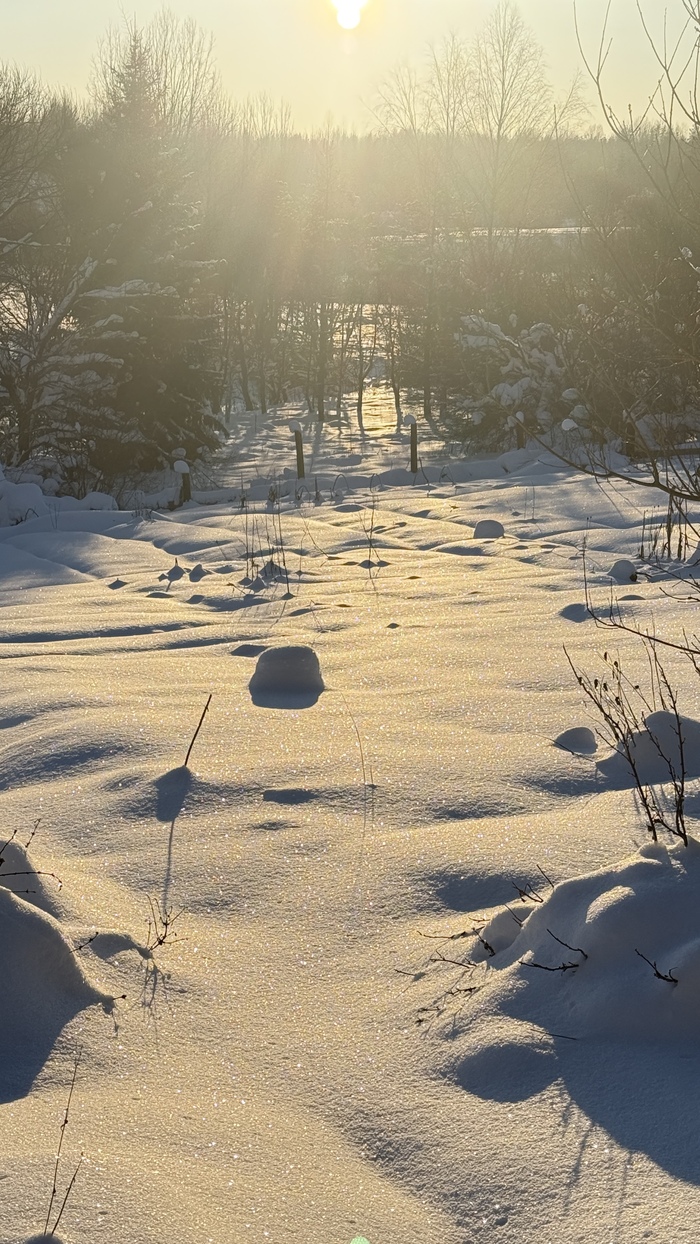 ������� ����