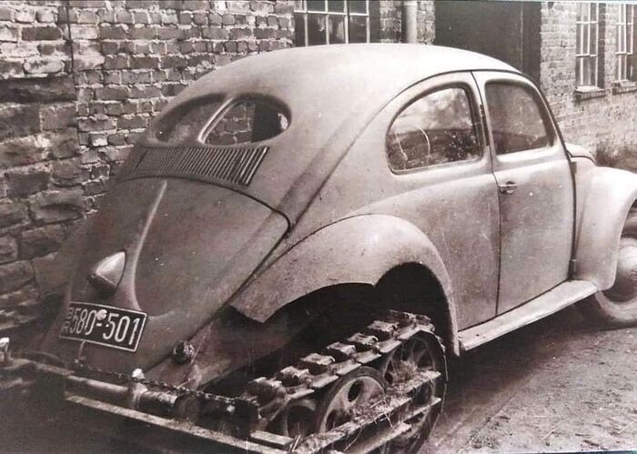 �����������?