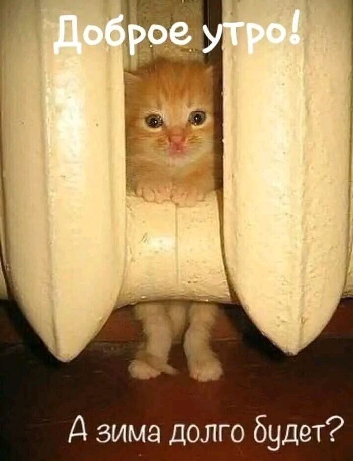 �� ������