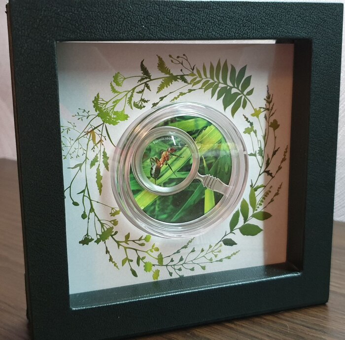 �������� ���� ��� ������� � �������� �� ����� ������ �����.