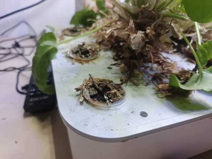 ���-�� ��� � ������ ���������� �����.