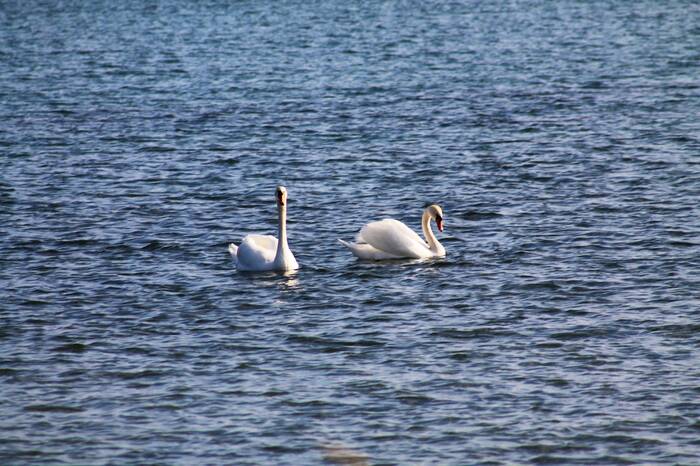 Вас заметили