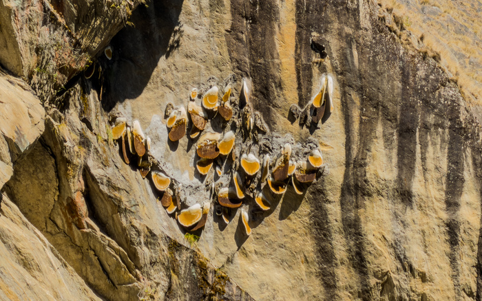 ���� � ����� ���������� �����