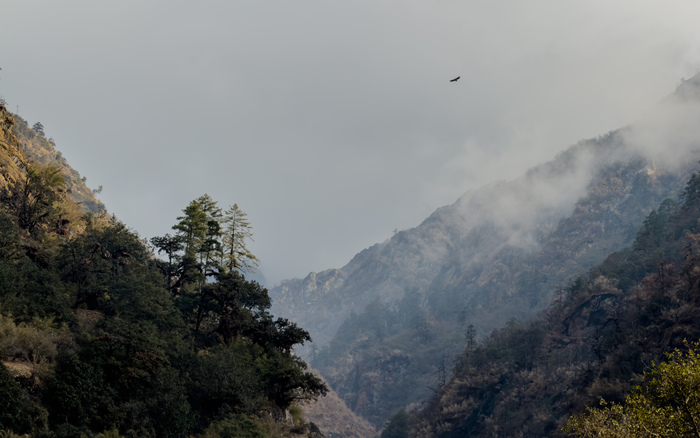 ������ � ����