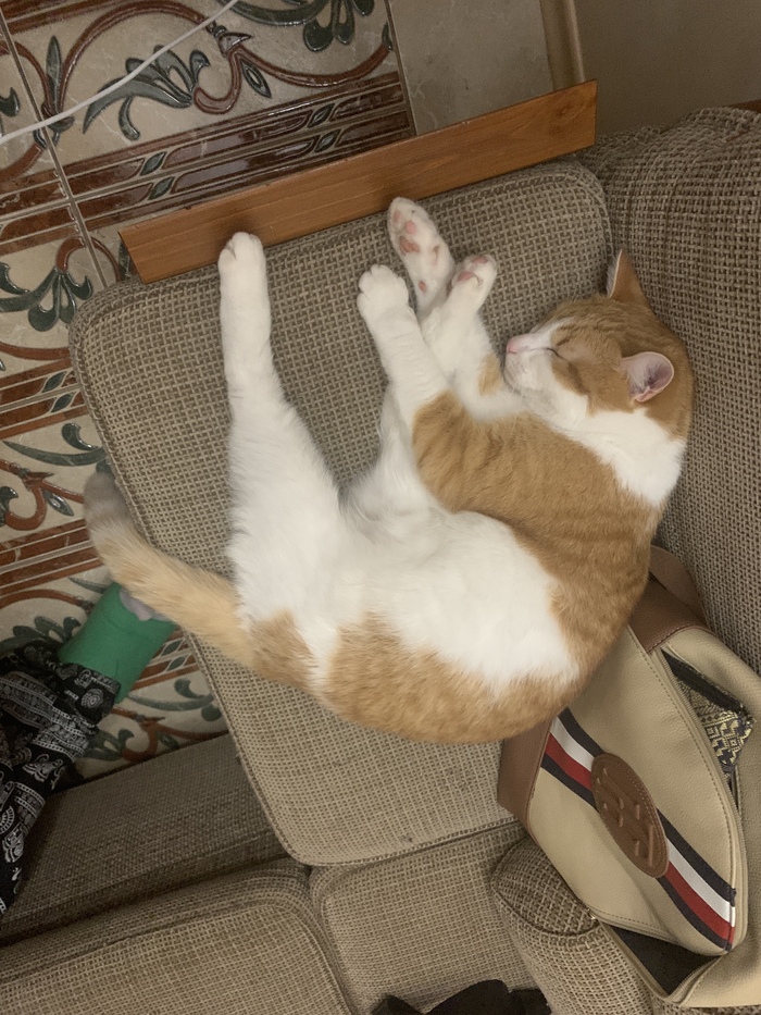 #�������