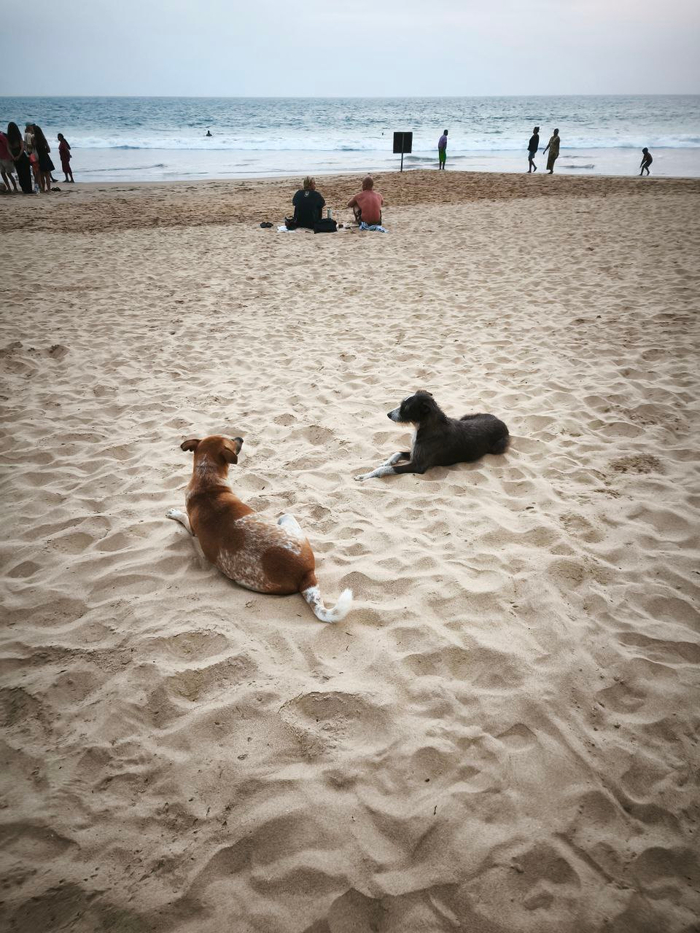 ��� ������ ����, ����� �����������. ������ ���� ������������.