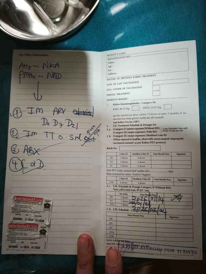 ����� ����������