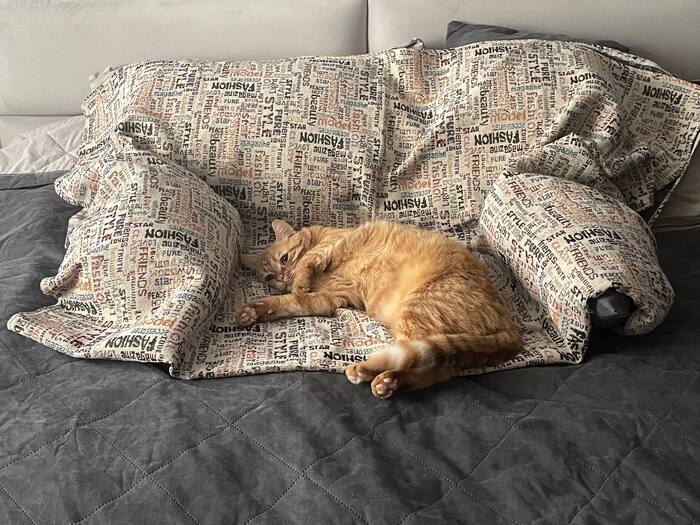 ������ ���)