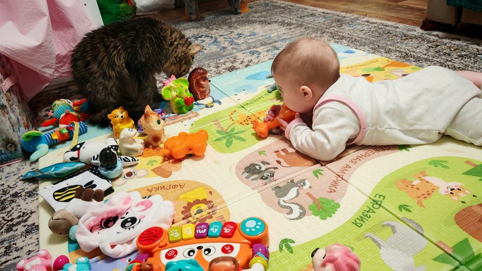 ��� �������� ������� ������� ������