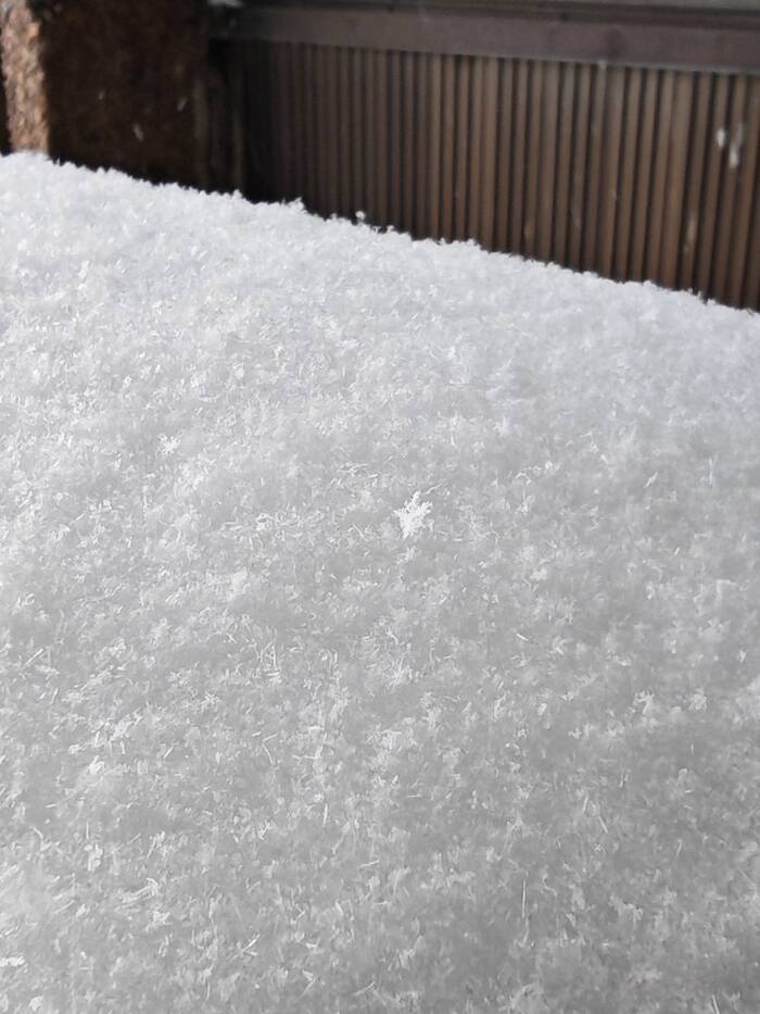 �����  �� ����� ��������