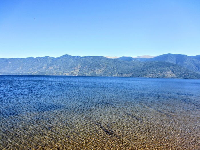 ����� ��������� �����