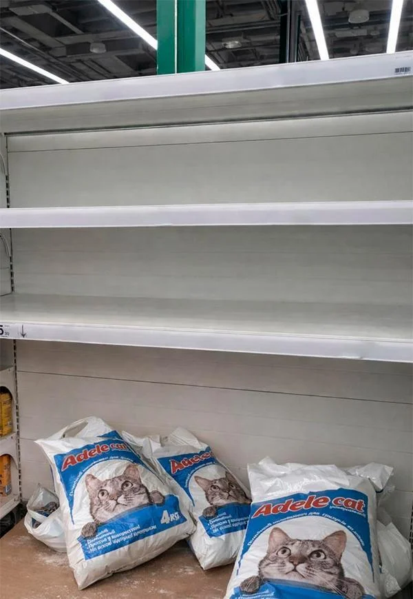 In Kyiv, people are buying up cat litter en masse. - Ukraine, cat, Purchase, Video, Vertical video, Short videos, Longpost