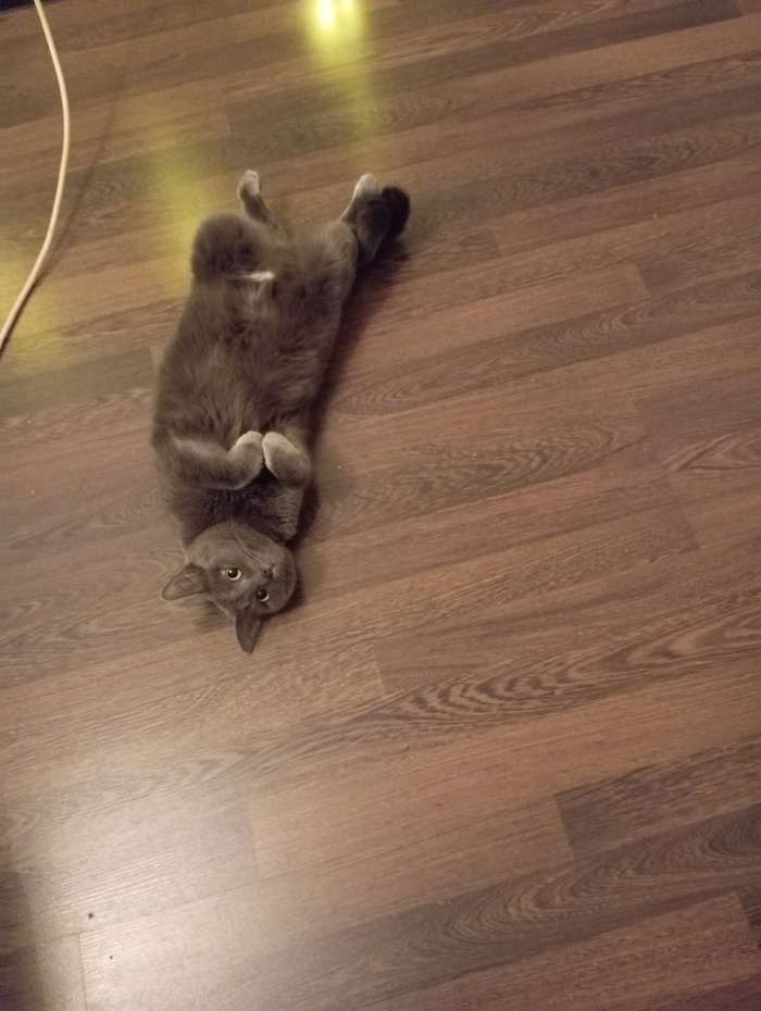 �����������) ���� ������� ������)