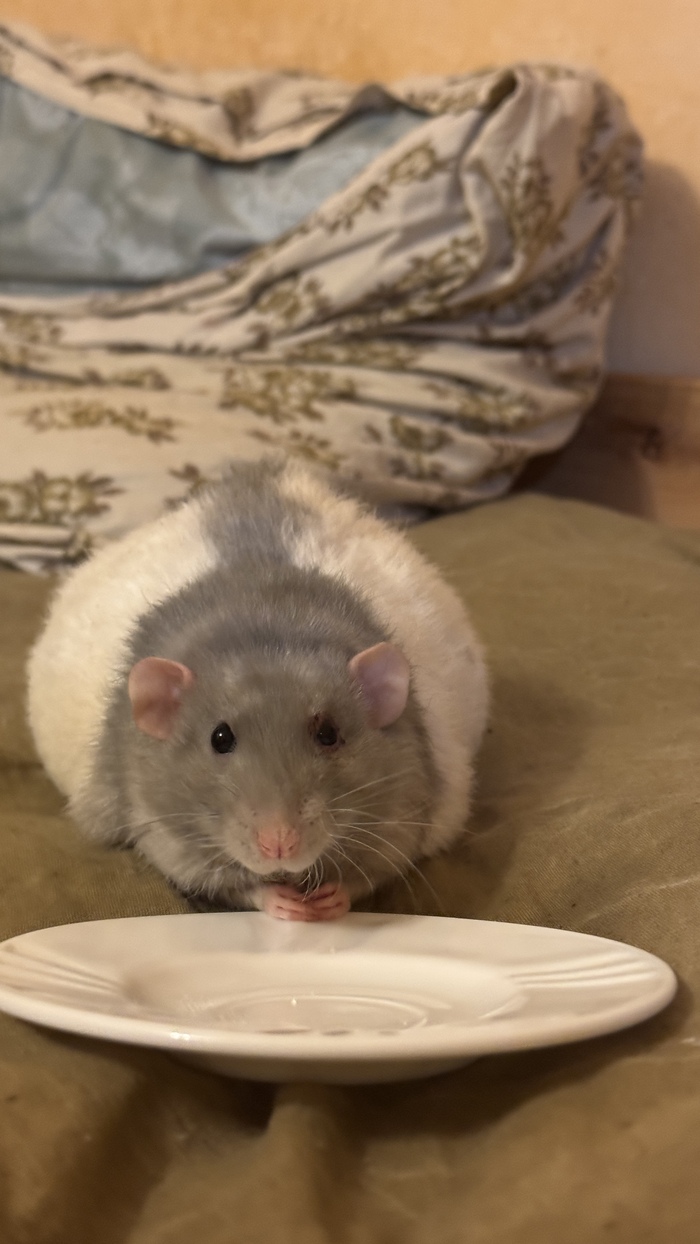 Пухлый вечно больной чумной жрец Товарищ Хаширама.